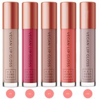 Hey Gorgeous Vegan Lip Gloss